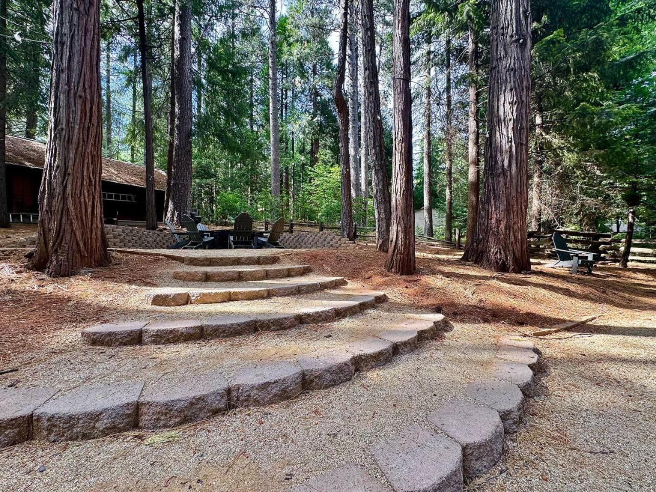 Cabin In The Trees-Game Room Pollock Pines Εξωτερικό φωτογραφία