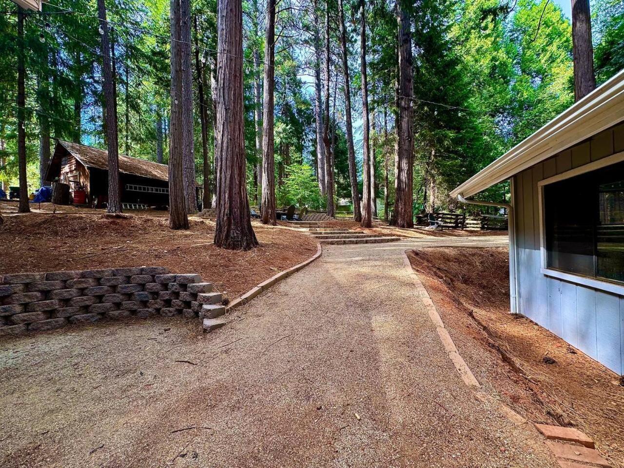 Cabin In The Trees-Game Room Pollock Pines Εξωτερικό φωτογραφία