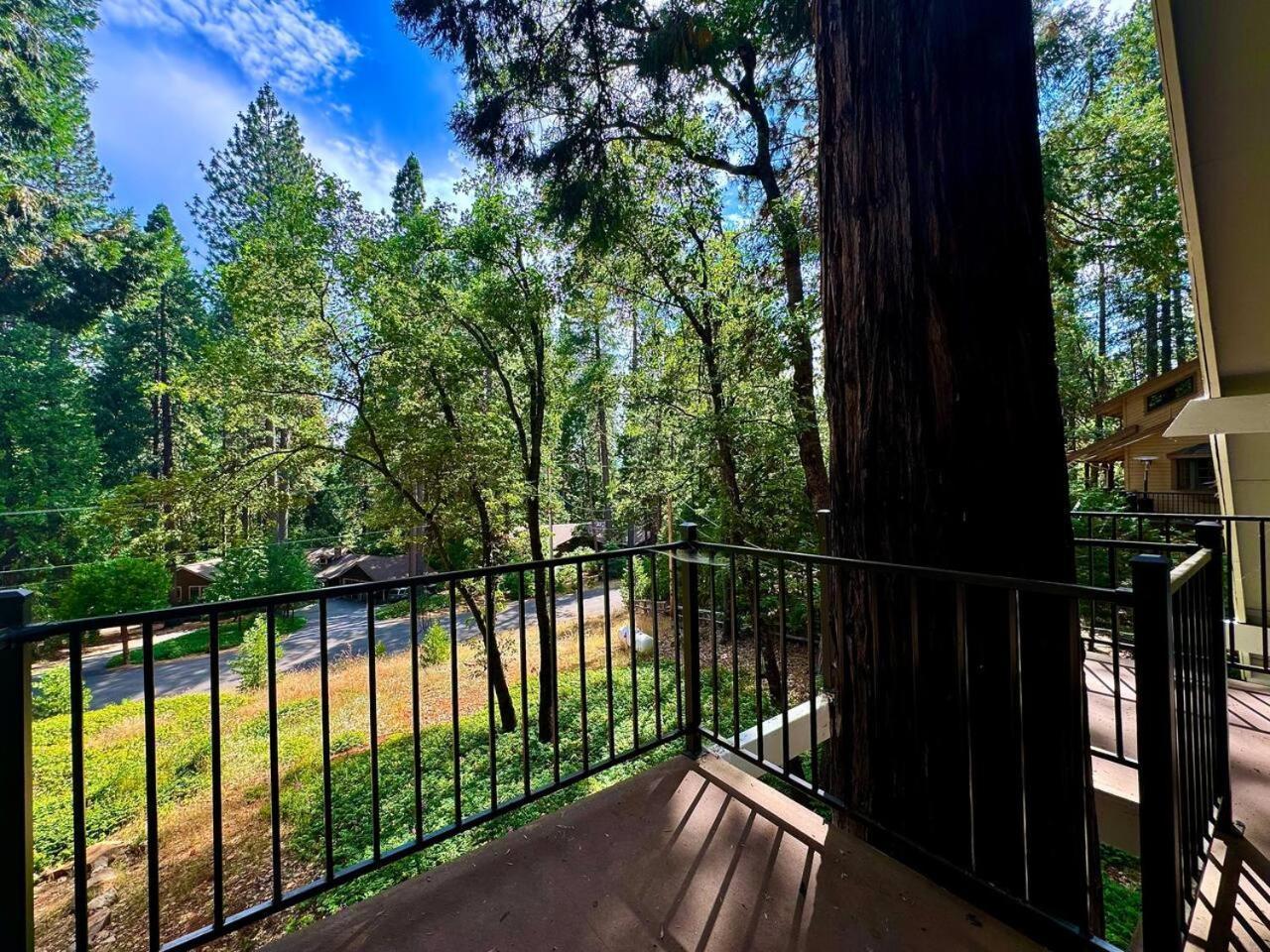 Cabin In The Trees-Game Room Pollock Pines Εξωτερικό φωτογραφία